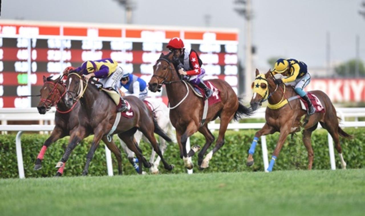 Hasan Adalı Koşusu'nu Valley Of Flowers kazandı