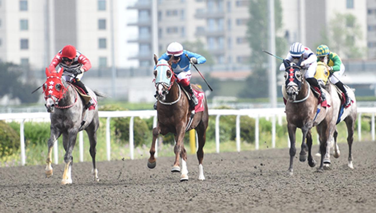 Dünya Arı Günü Koşusu'nu Ağa Turbo kazandı