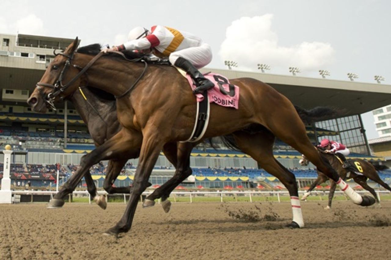 Klimt temsilcisi Twin City’den black-type koşu galibiyeti 