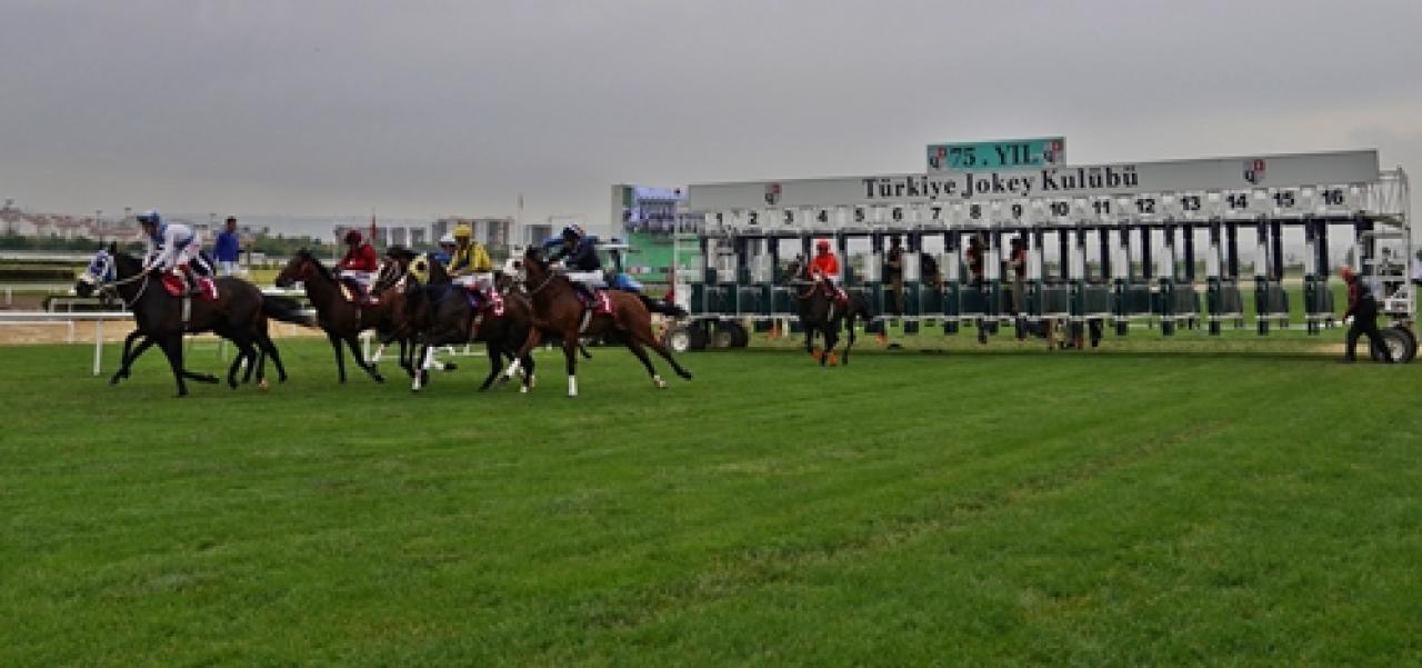 Ankara Gençlik ve Spor İl Müdürlüğü Koşusu'nu Arts Man kazandı