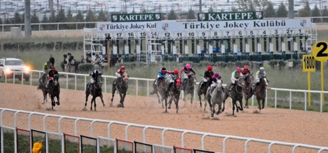 Abhazlar Koşusu'nda kazanan Never Alone oldu