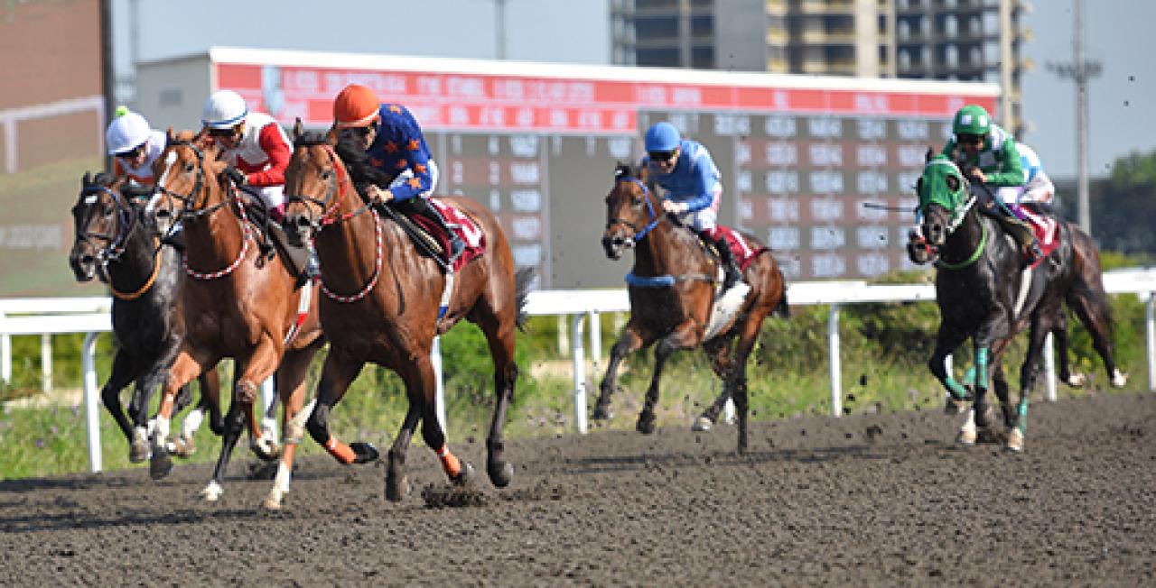 Nurettin Karaca Koşusu'nun galibi Hakna oldu