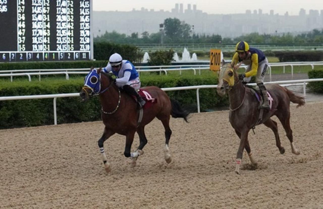 Süt Koşusu'nu Tunçdağ kazandı
