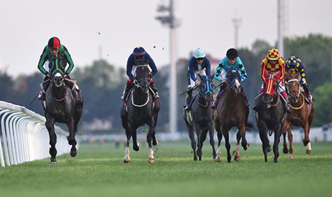 Yervant Ütücü Koşusu'nu Timelord kazandı