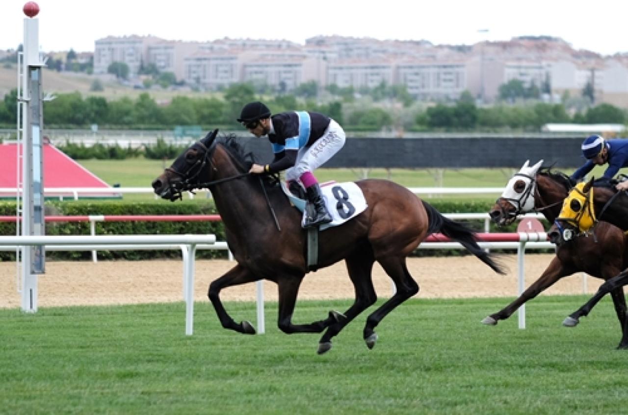 Muhteşem Hafta Sonu! 97. Gazi Koşusu öncesinde son Grup koşular