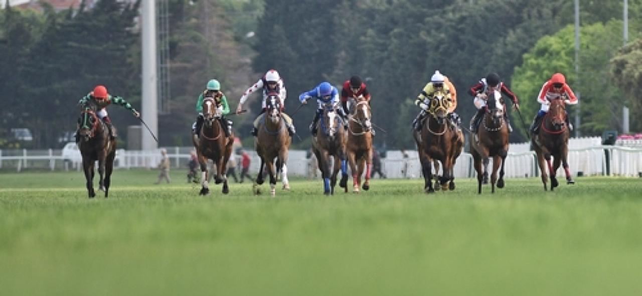 Zeki Sertol Koşusu'nu Harlan Draka kazandı