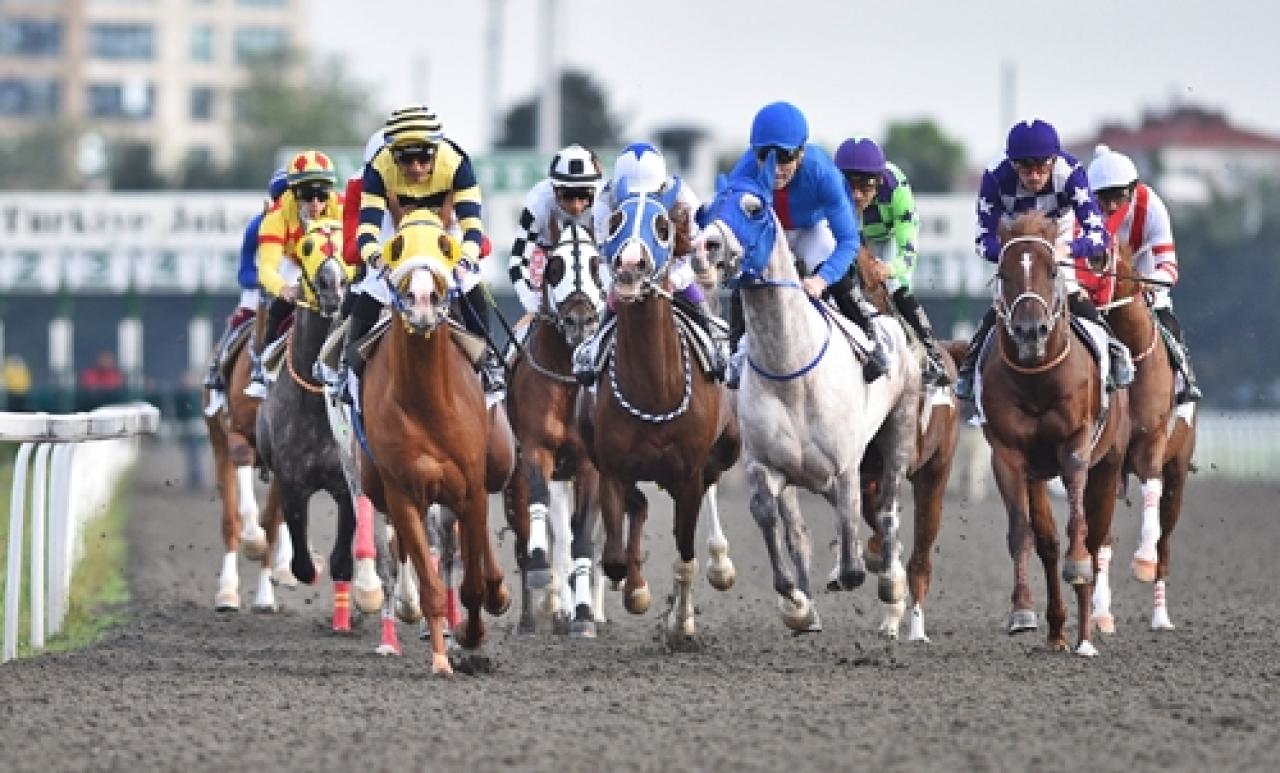 Nail Avunduk Koşusu'nda galibiyete Demirberke uzandı