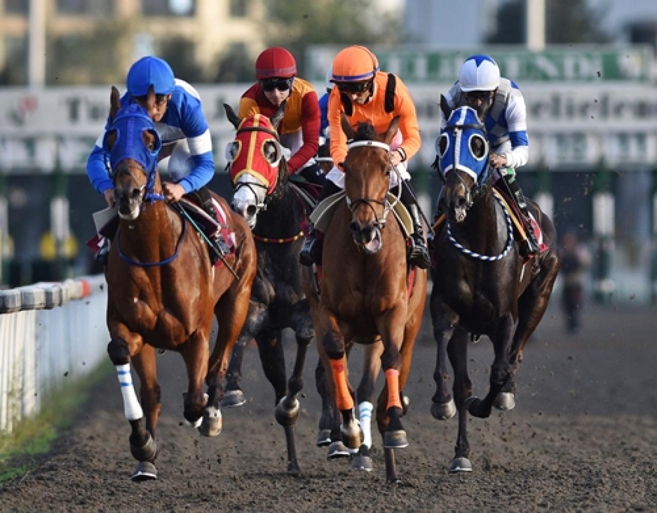 Yavuz Gülerce Koşusu'nda kazanan My Pretty Girl oldu