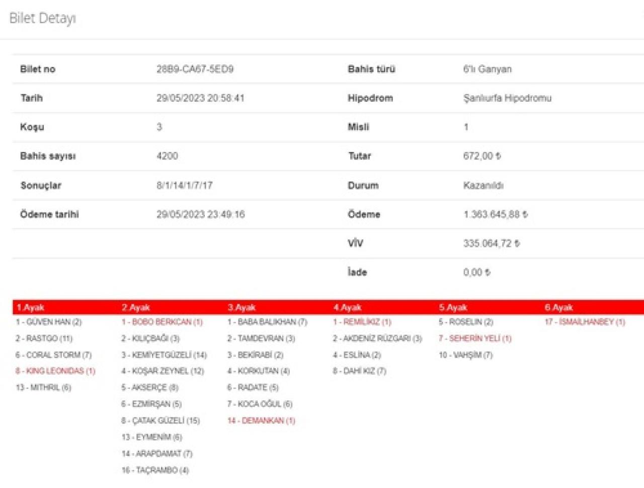 Şanlıurfa yarışlarında 6’lı Ganyan’ı 2 kişi bildi