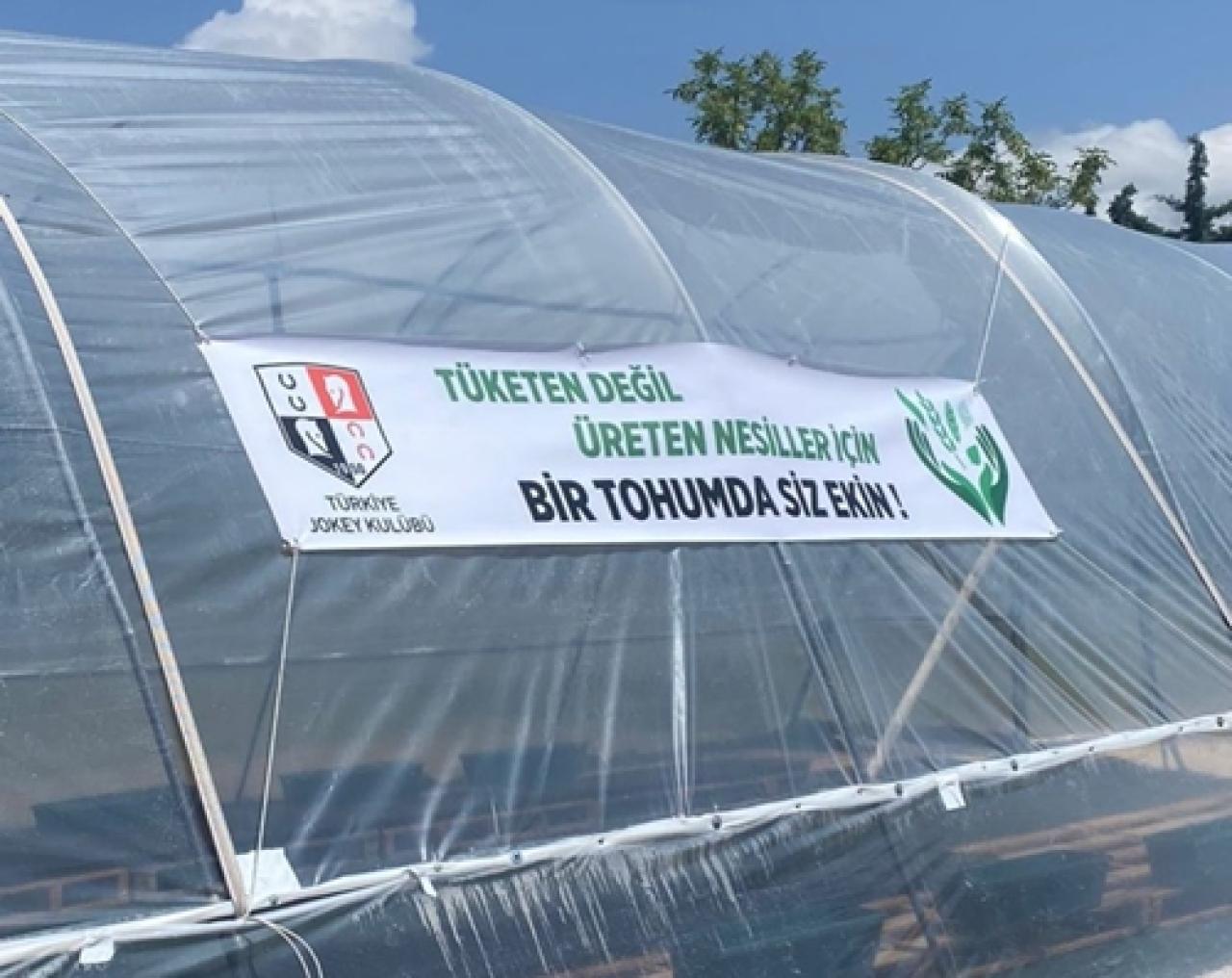 Elazığ Hipodromu’nda peyzaj bitkileri için sera oluşturuldu