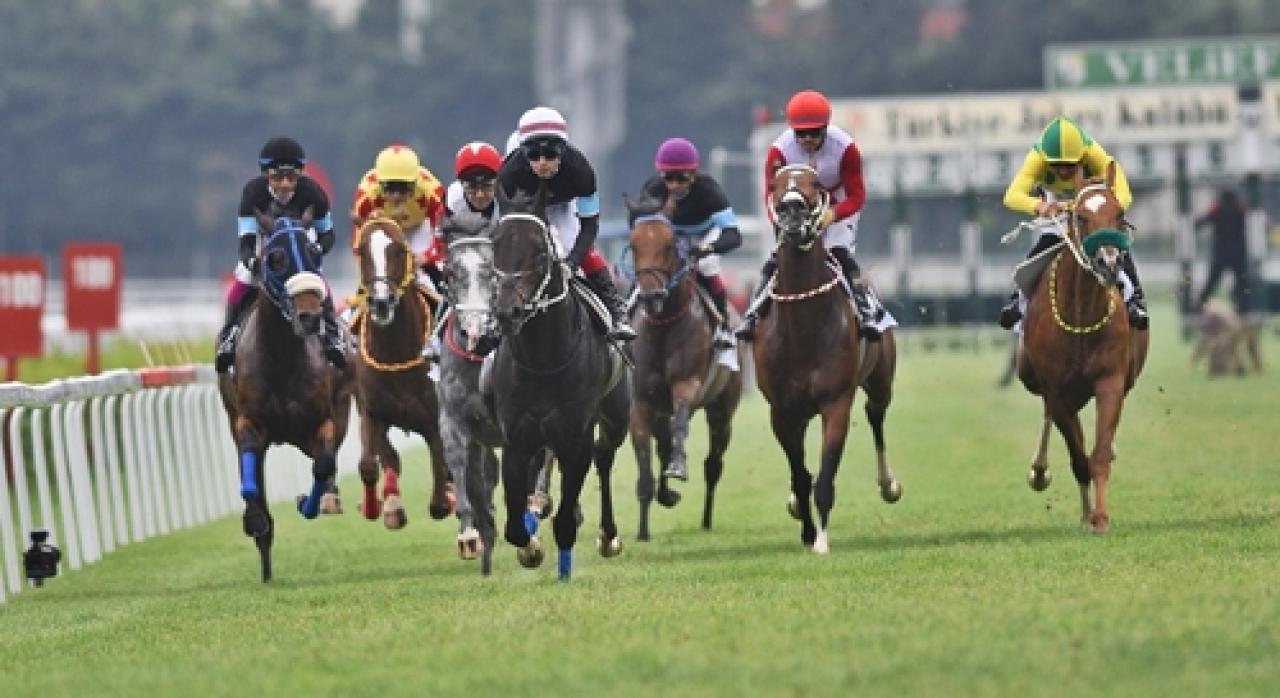 Sait Akson Koşusu'nda kazanan Qualizto oldu