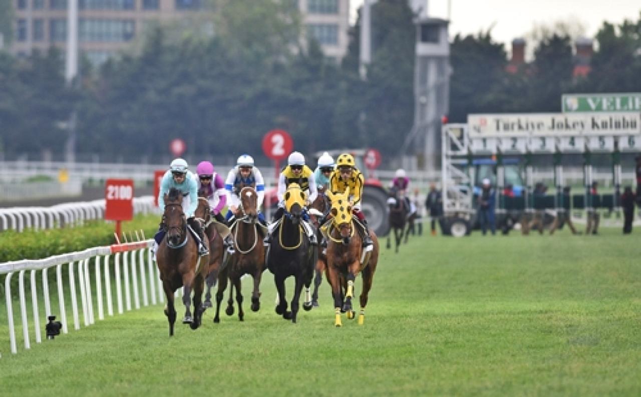 Ahmet Cemal Kura Koşusu'nu Beyond Expectation kazandı