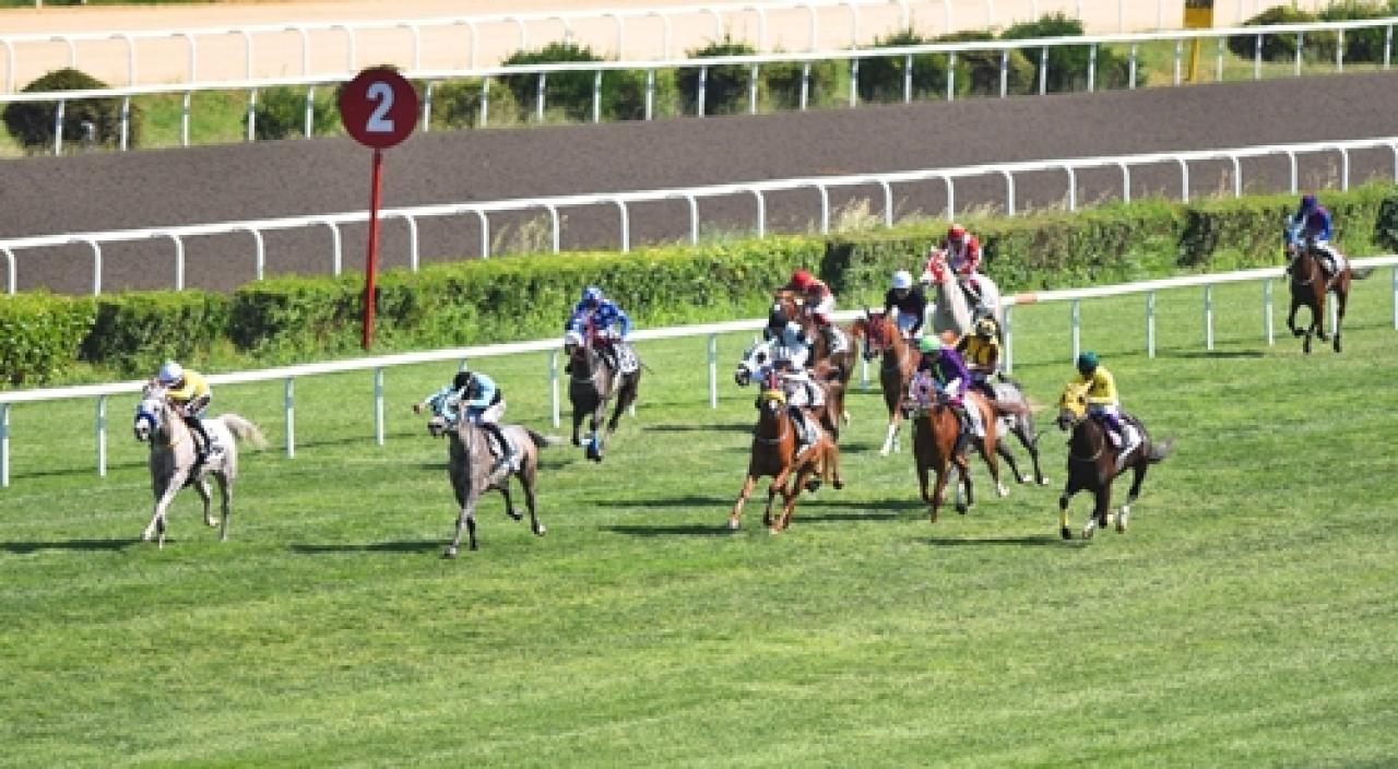 Neame Koşusu'nda kazanan Kurşunili oldu