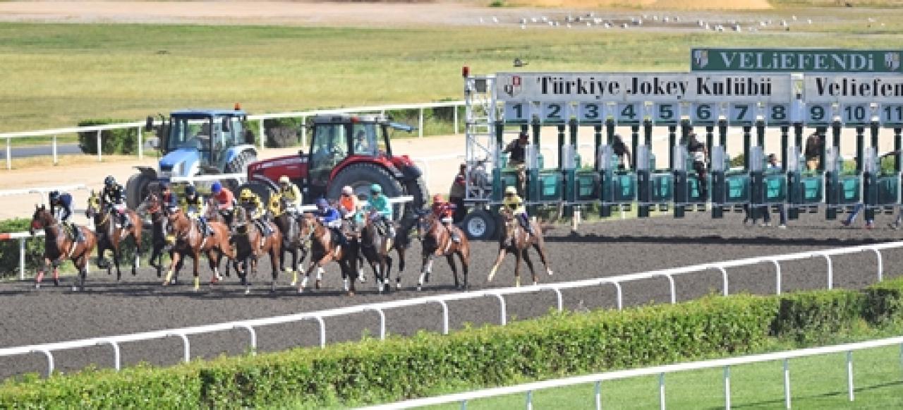Sadettin Sükan Koşusu'nun galibi Aslan Luigi oldu