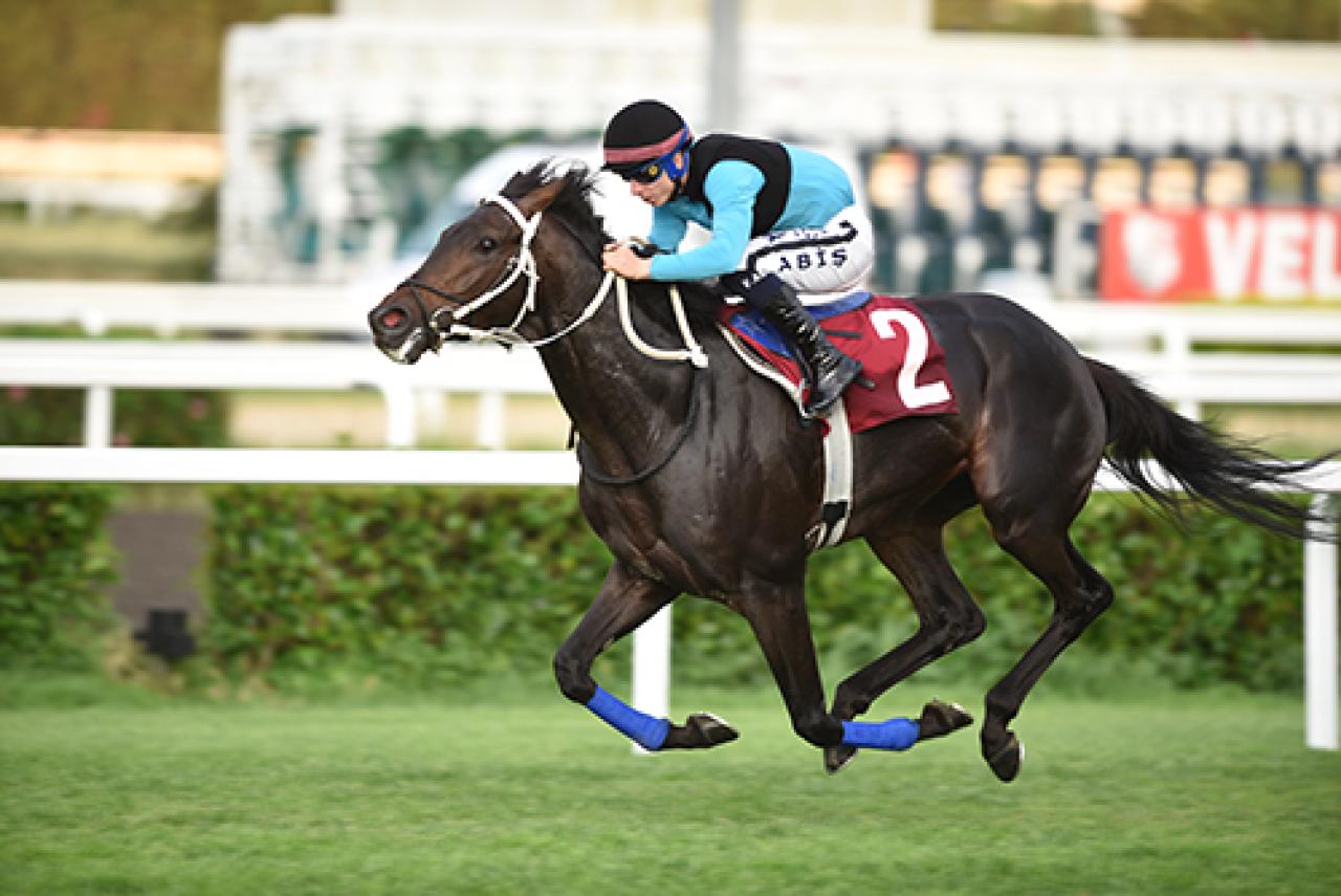 Serdar Kemal Özçolak Koşusu'nu Age Of Fire kazandı