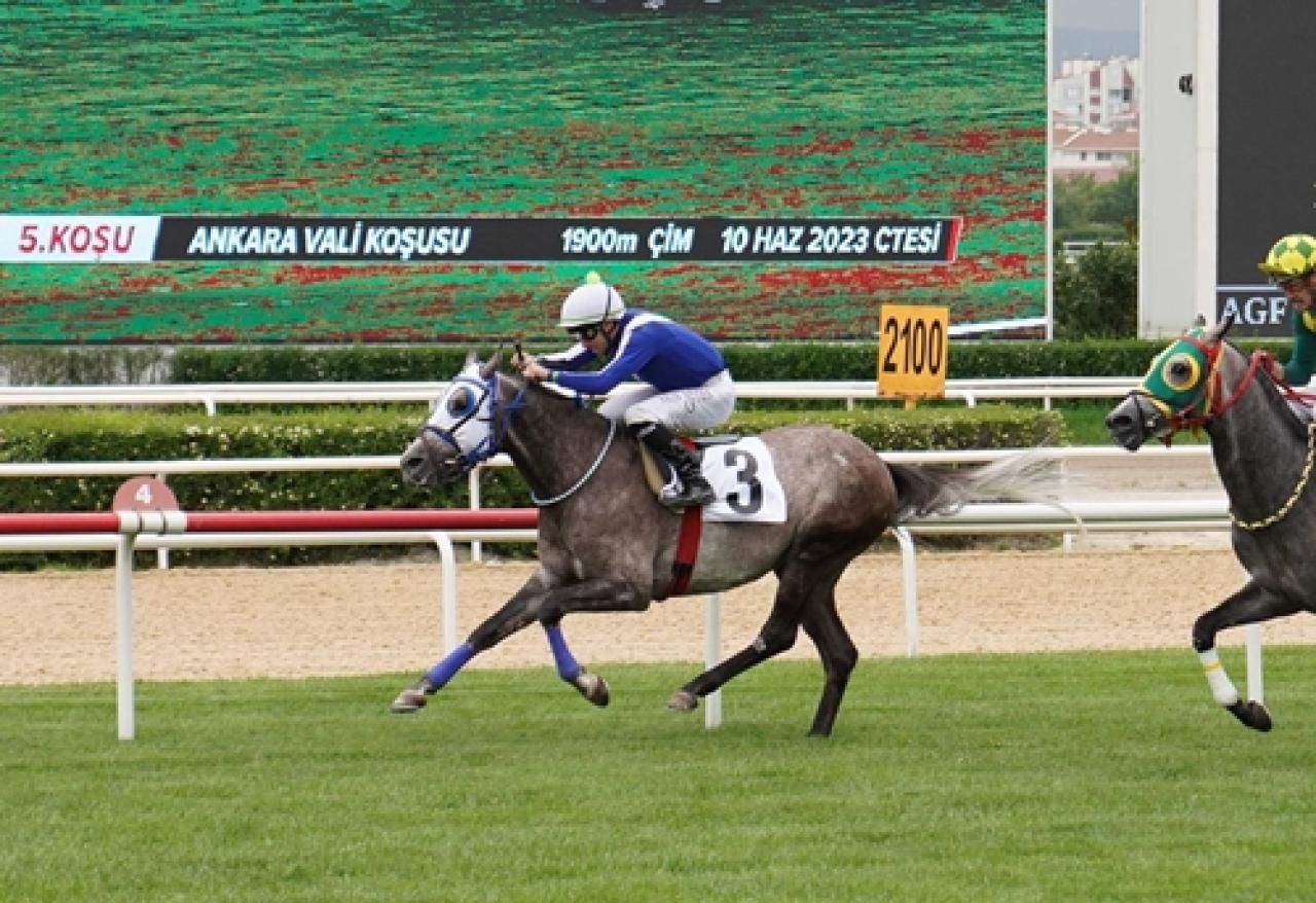 Ankara Vali Koşusu'nu Derya Ateşi kazandı