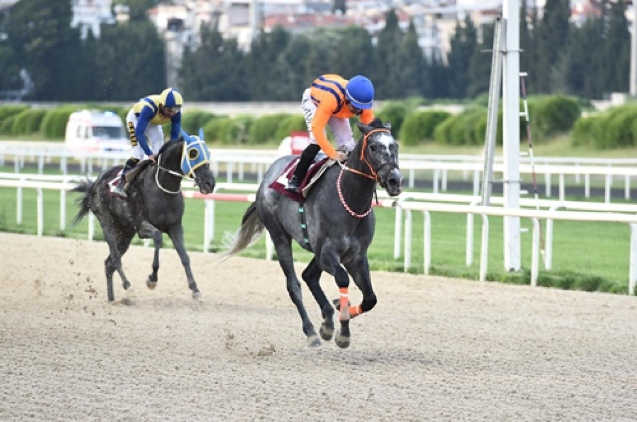 Davide Franco Koşusu’nda Delawera galibiyet ulaştı