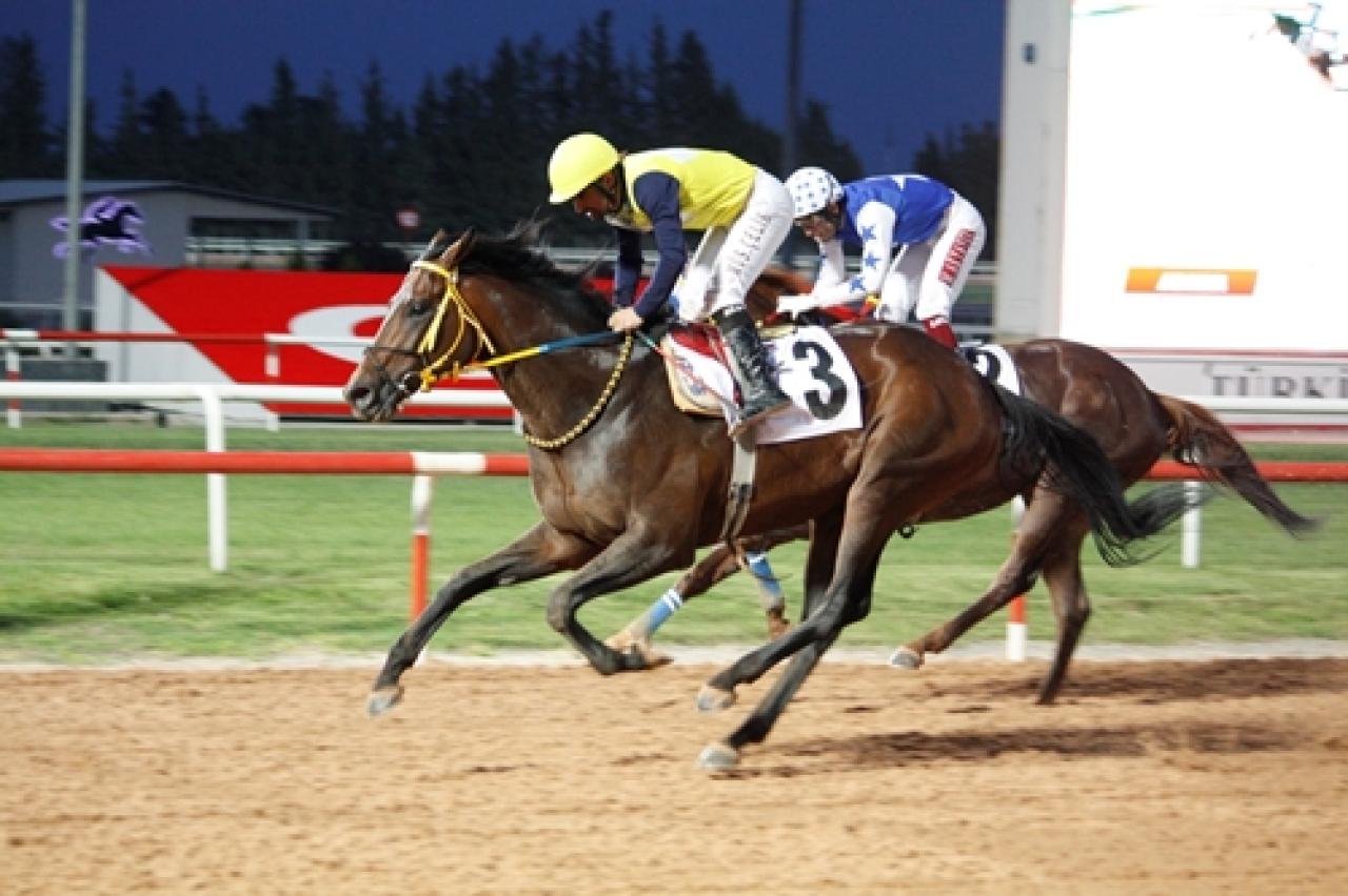 Adana’daki A3 koşuda kazanan Oğlum Doruk oldu