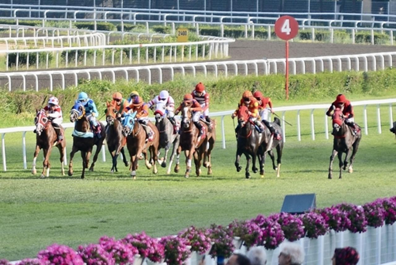 Abdurrahman Atçı Koşusu'nu Naturel kazandı