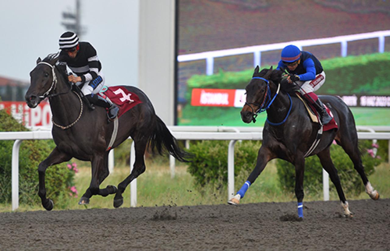 Mustafa Alver Koşusu'nu Secret Eagle kazandı