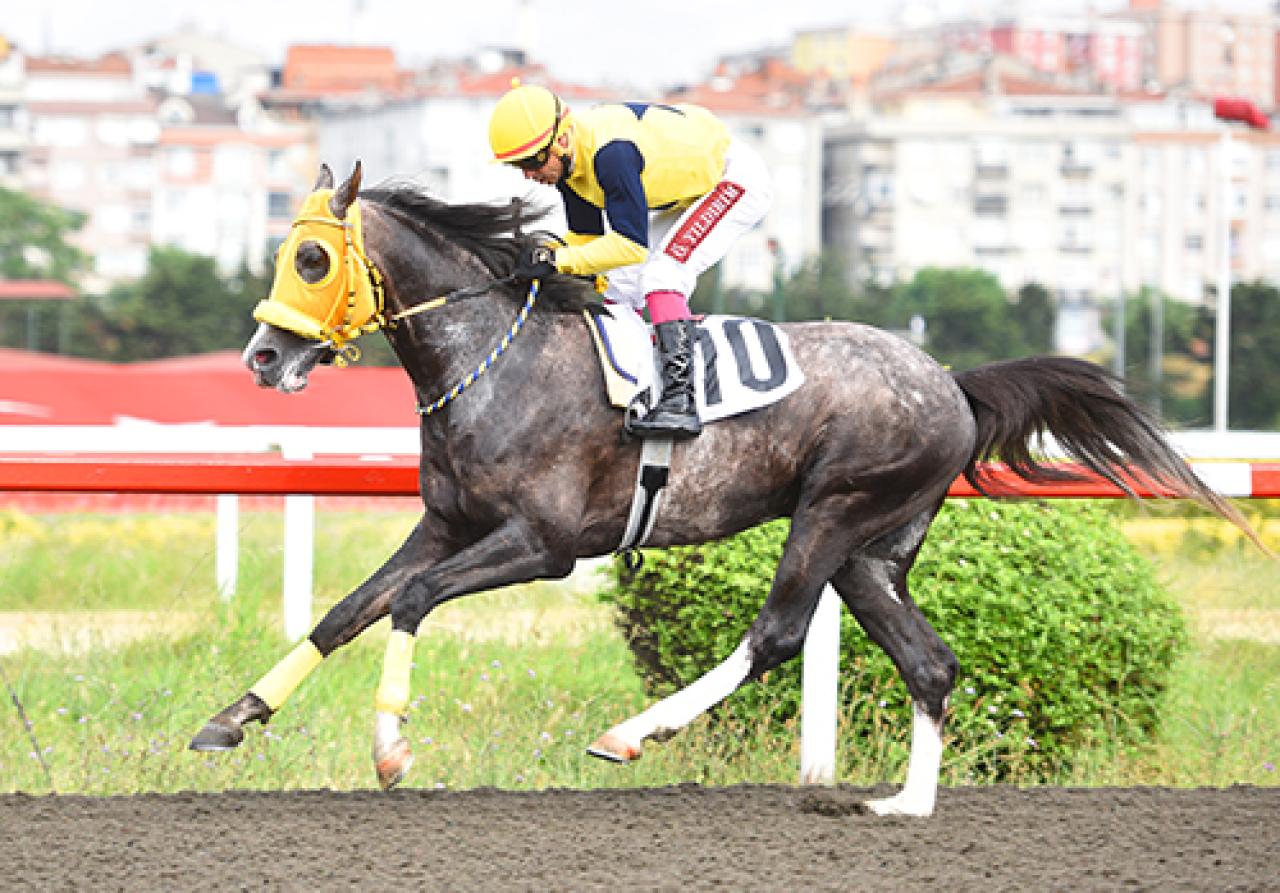 Babalar Günü Koşusu'nda Deniz Efe pist rekoru kırdı