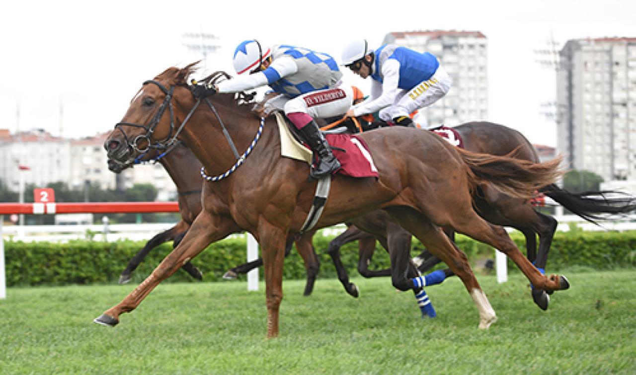 Şadi Eliyeşil Koşusu'nu Anadolu Şahini kazandı