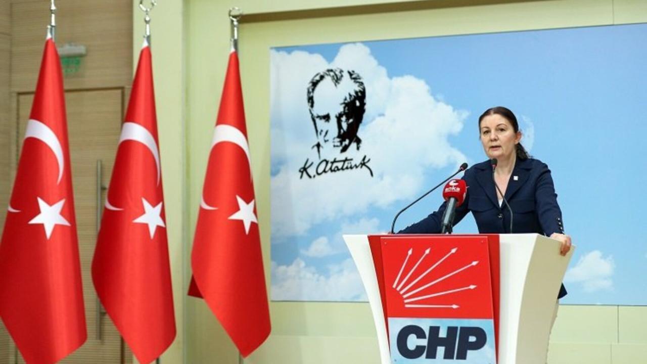 Lale Karabıyık’ın ÇEDES Protokolü Hakkında Basın Açıklaması