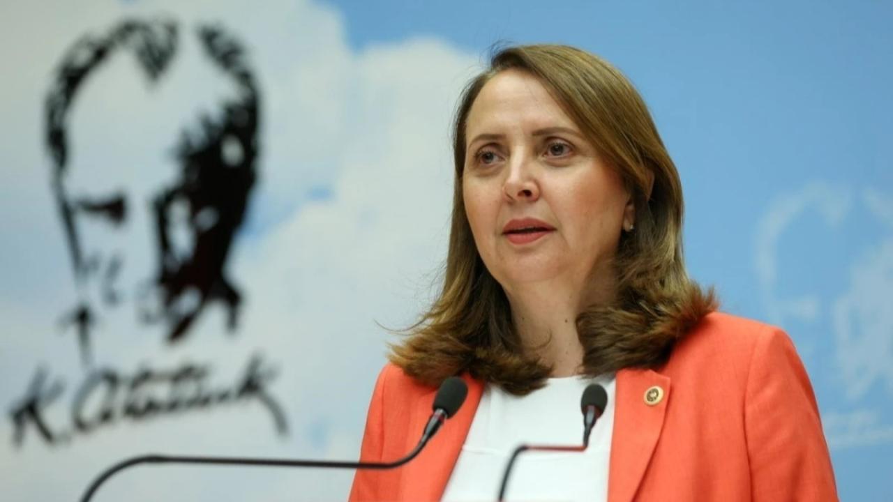 Semra Dinçer: Orman Yangınlarıyla Mücadele Bütçesi Azaltıldı