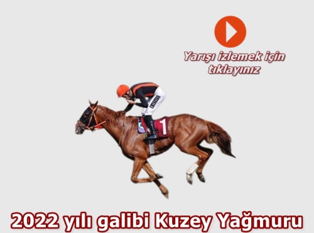 Merhum Asli Üyemiz A. Yücel Birol'u saygıyla anıyoruz