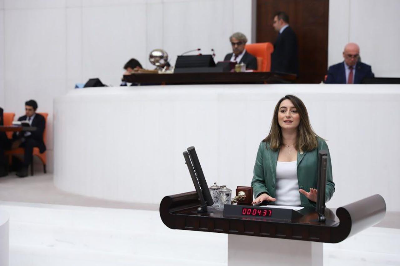 Aysu Bankoğlu: Beka Sorunu Arayanlar Yurtlardaki Çocuk Ölümlerine Baksın!