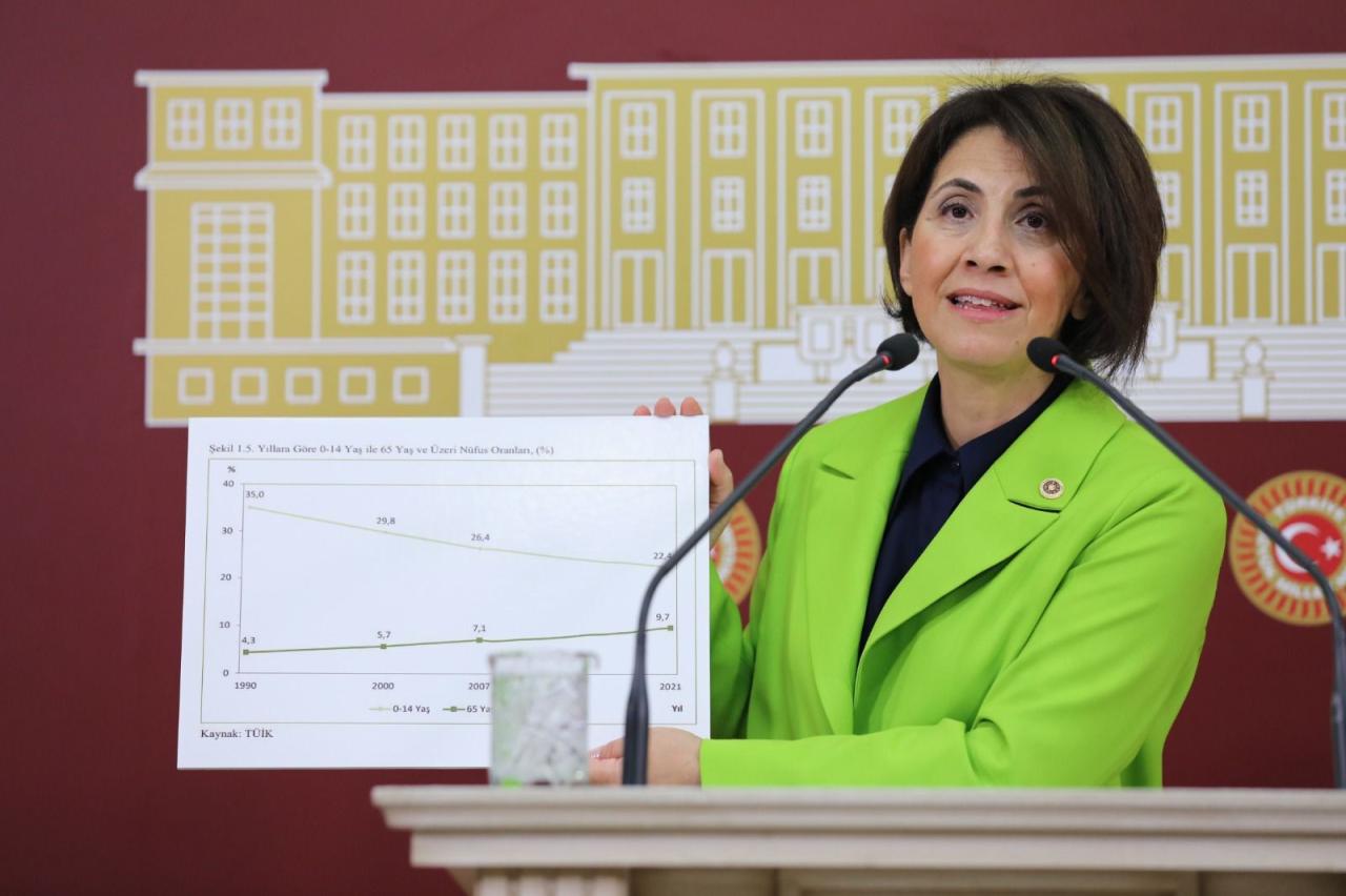 Aylin Yaman: Türkiye Nüfusu Yoksunlaşarak Ve Yoksullaşarak Yaşlanıyor