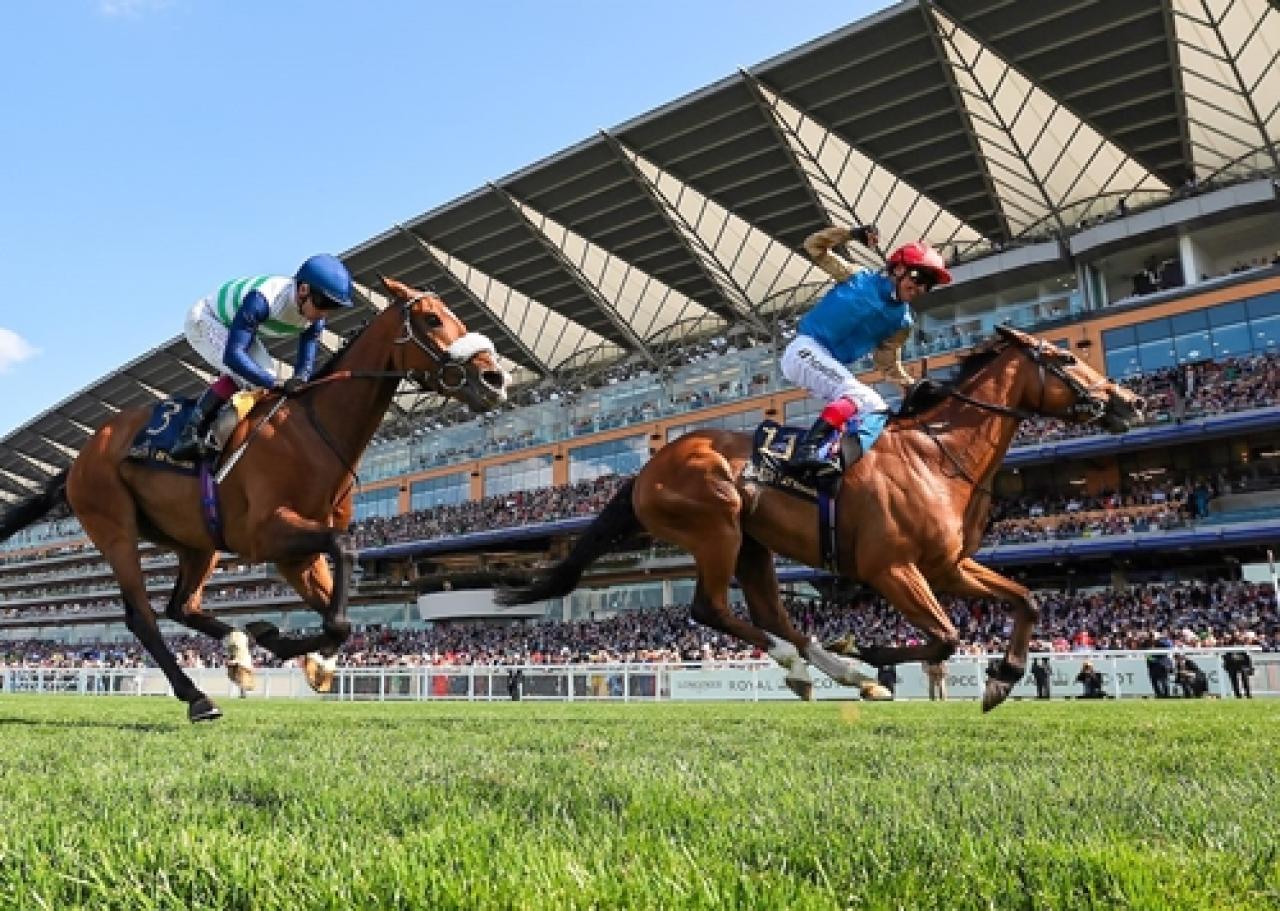 Royal Ascot festivalinde 3. gün tamamlandı