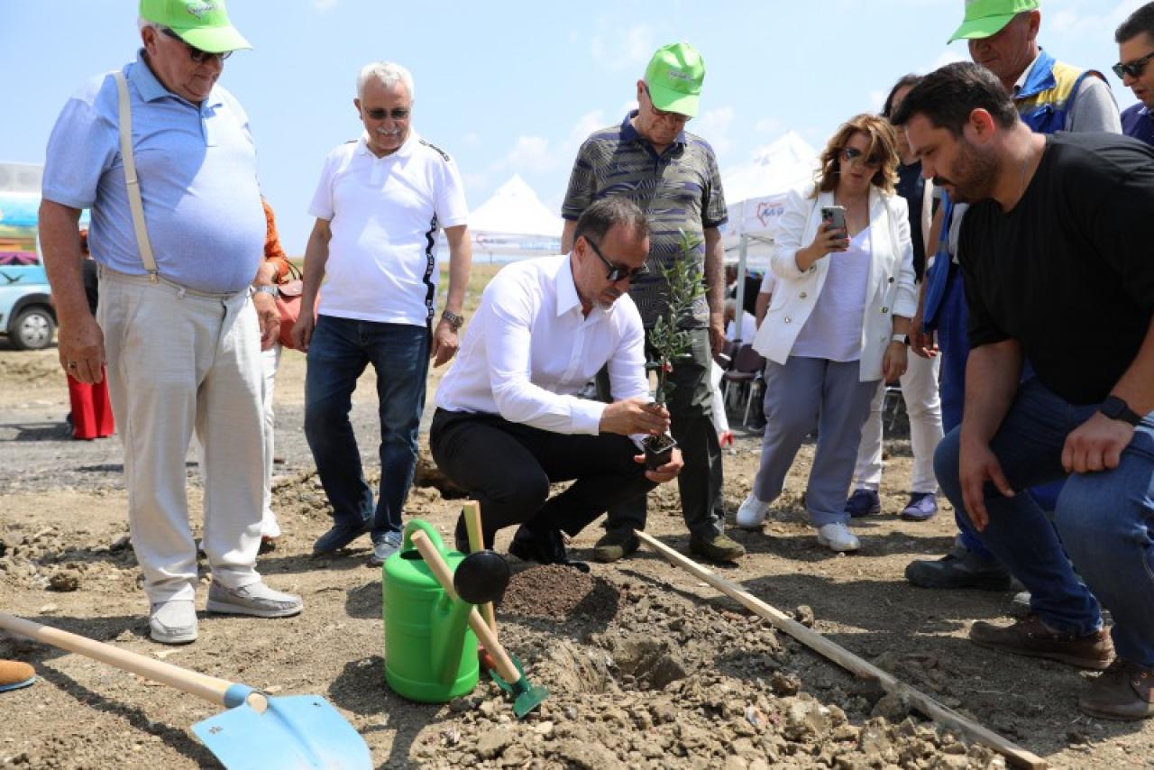 SİLİVRİ’DE 5.100 ADET YAĞLIK ZEYTİN FİDANI TOPRAKLA BULUŞTU
