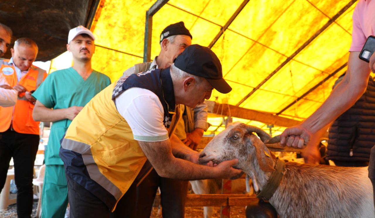 Başkan Akgün’den bayram denetimi