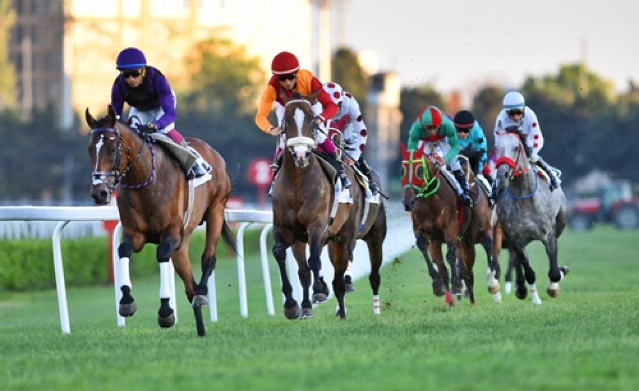 Arjantin Jokey Kulübü Koşusu'nun kazananı Go Hero oldu