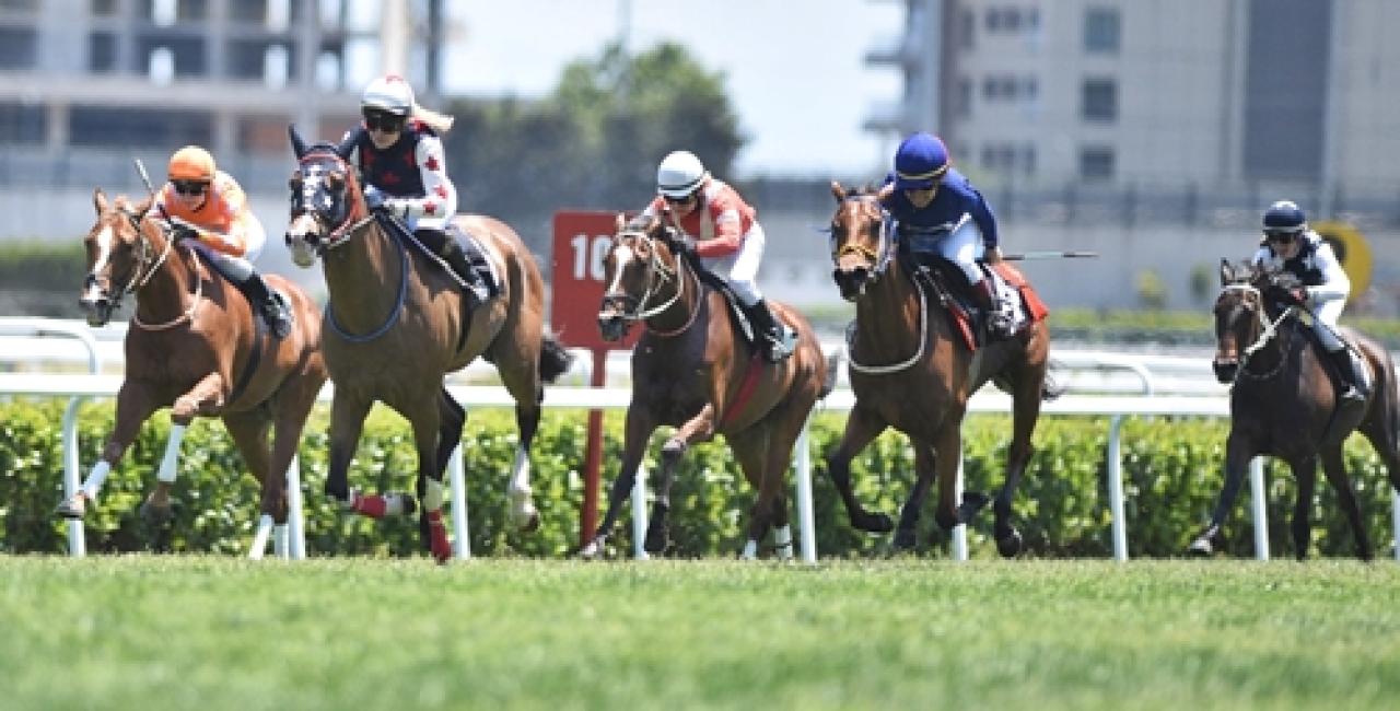 Kadın Binici Dostluk Kupası Koşusu'nu Anadolu Harikası kazandı