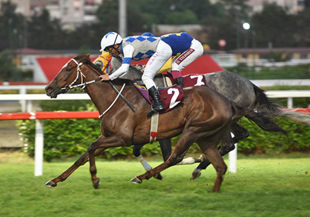 Fikret Kaya Koşusu'nu Josephine kazandı