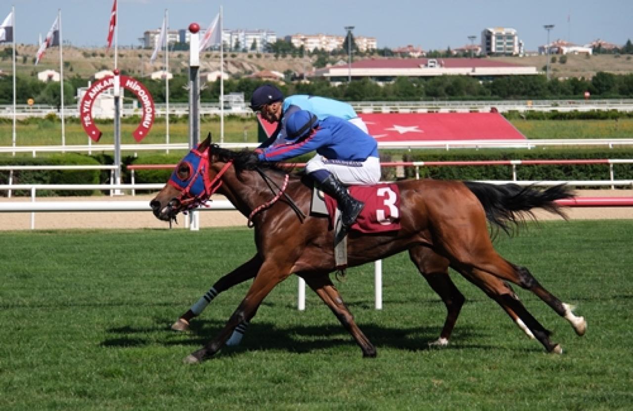 İhsan Akhun Koşusu’nu üst üste ikinci kez Çığgüzeli kazandı