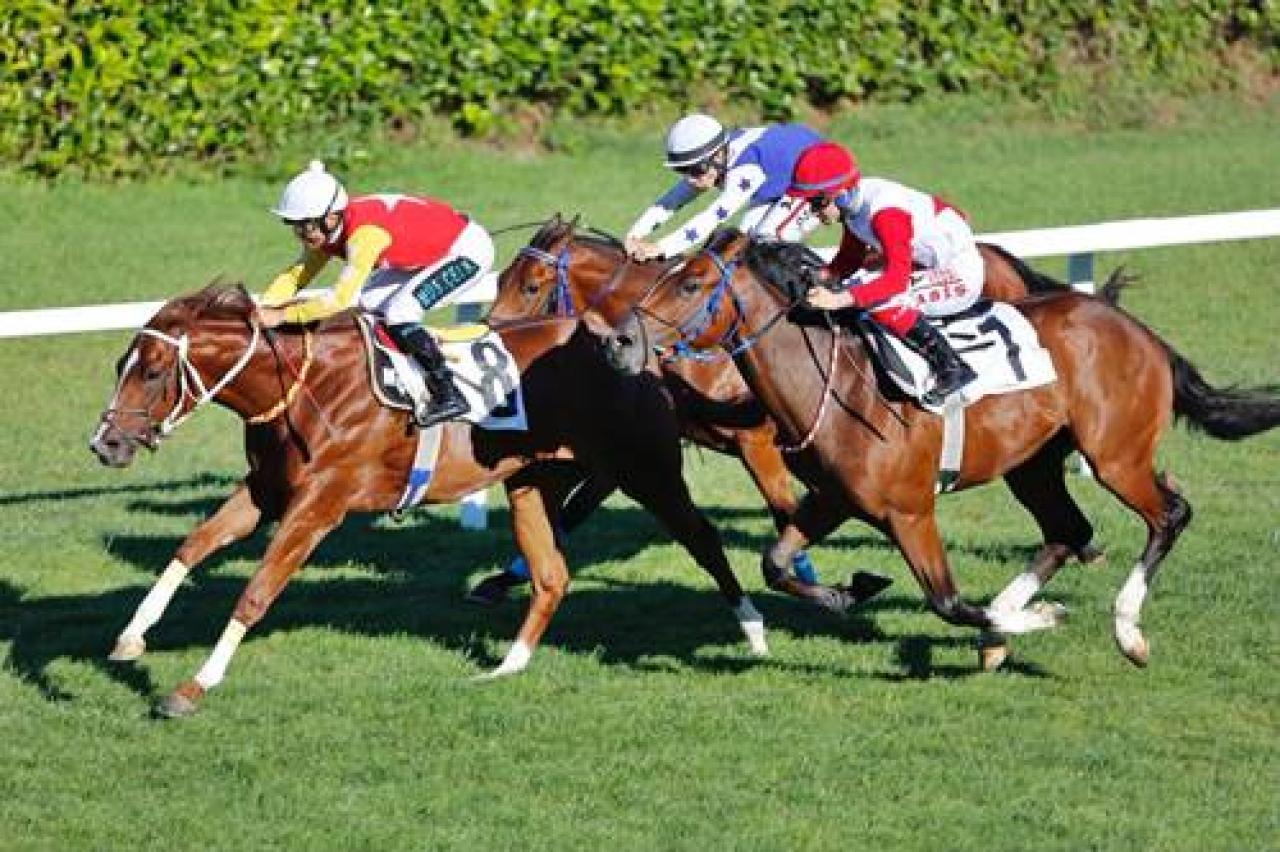 Eski başkanlarımızdan Sadun Eşref Güney Atığ’ı saygıyla anıyoruz