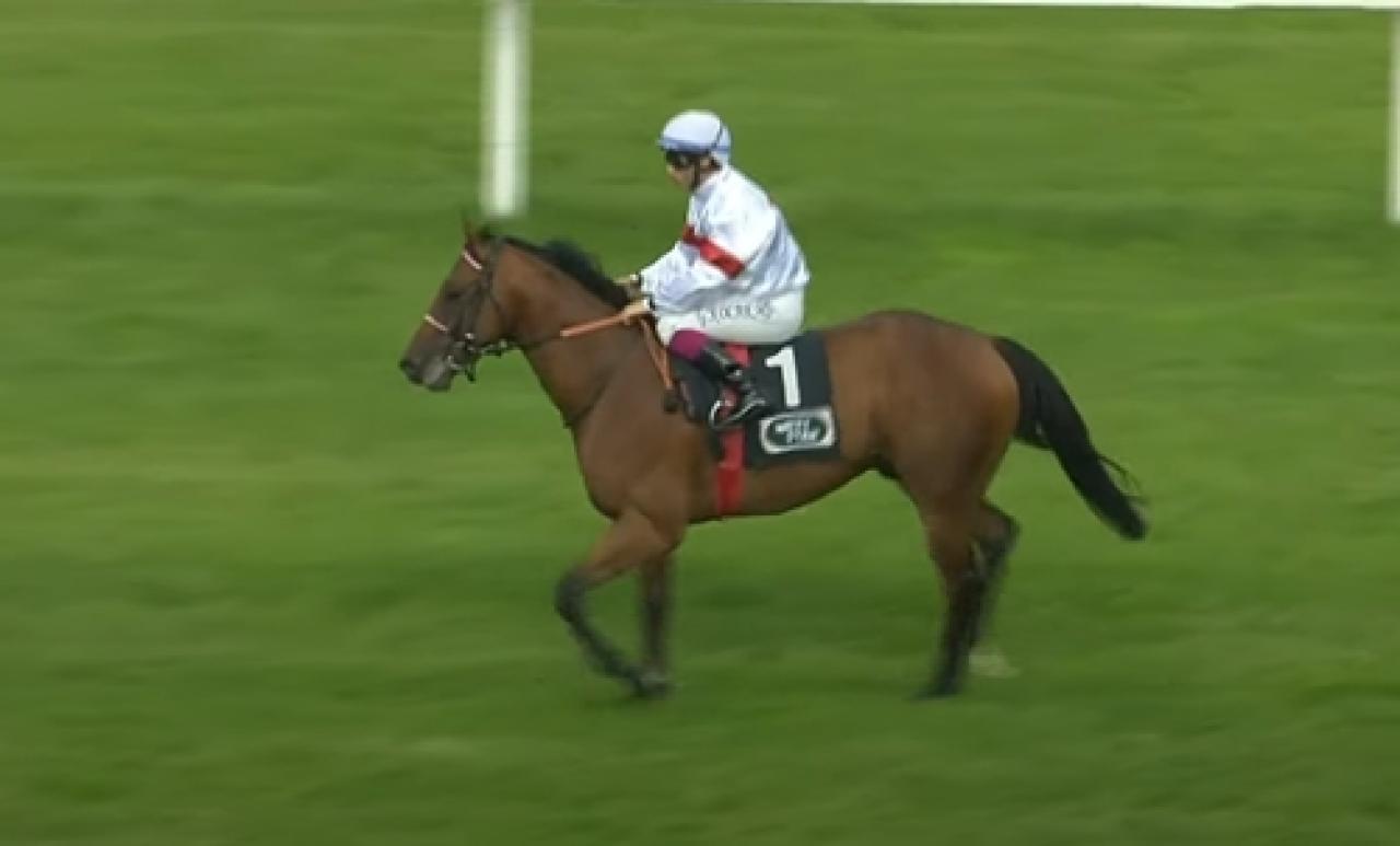 Yurt dışındaki atçılarımızın başarıları devam ediyor