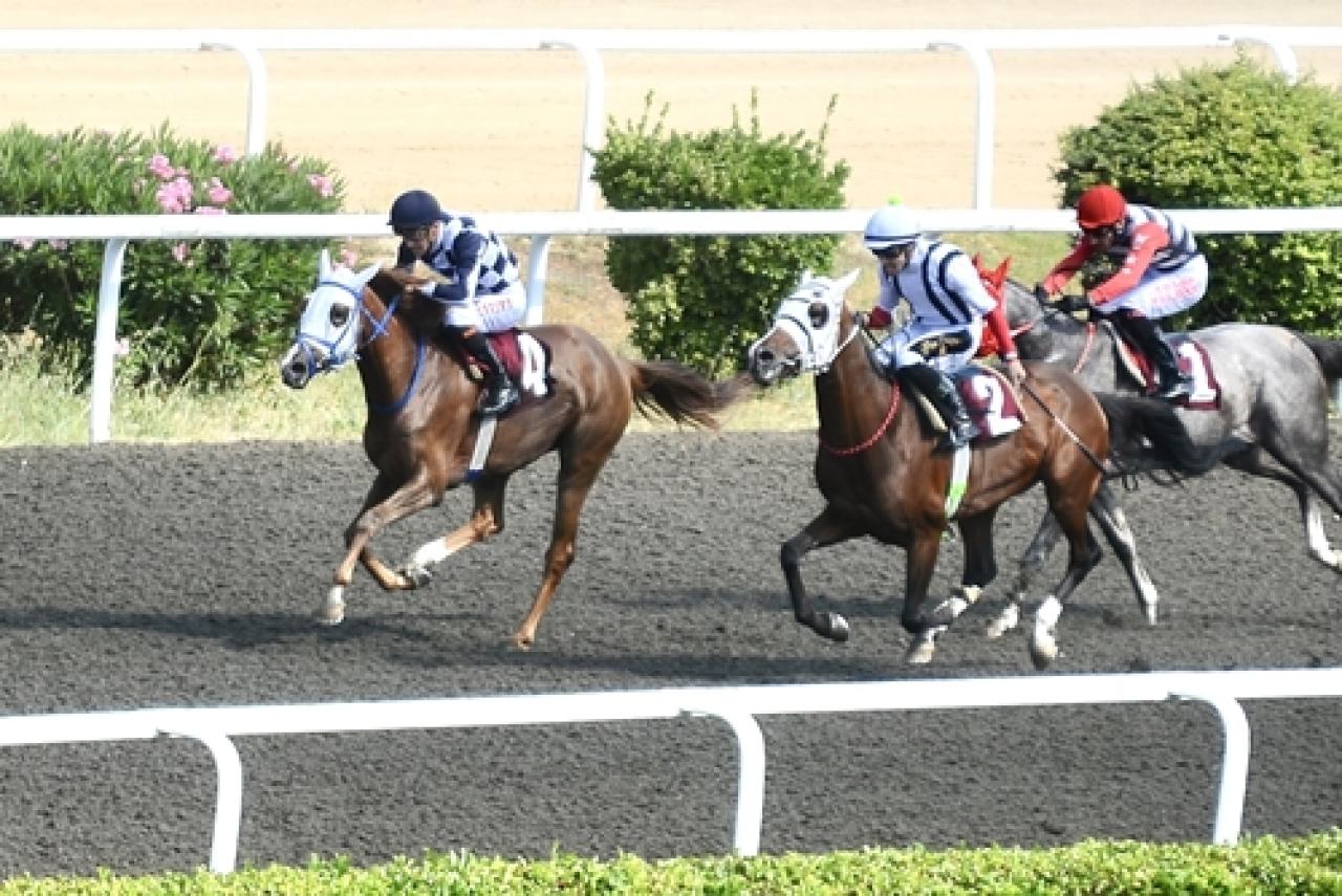 Mustafa Kemal Tamer Koşusu'nu Berkenin Kızı kazandı