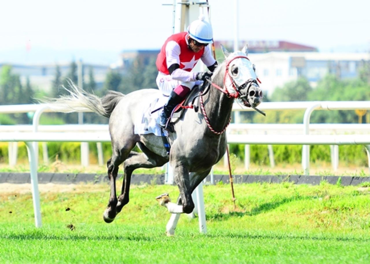 Süleyman Çelebi Koşusu'nu üst üste ikinci kez Pıtır kazandı