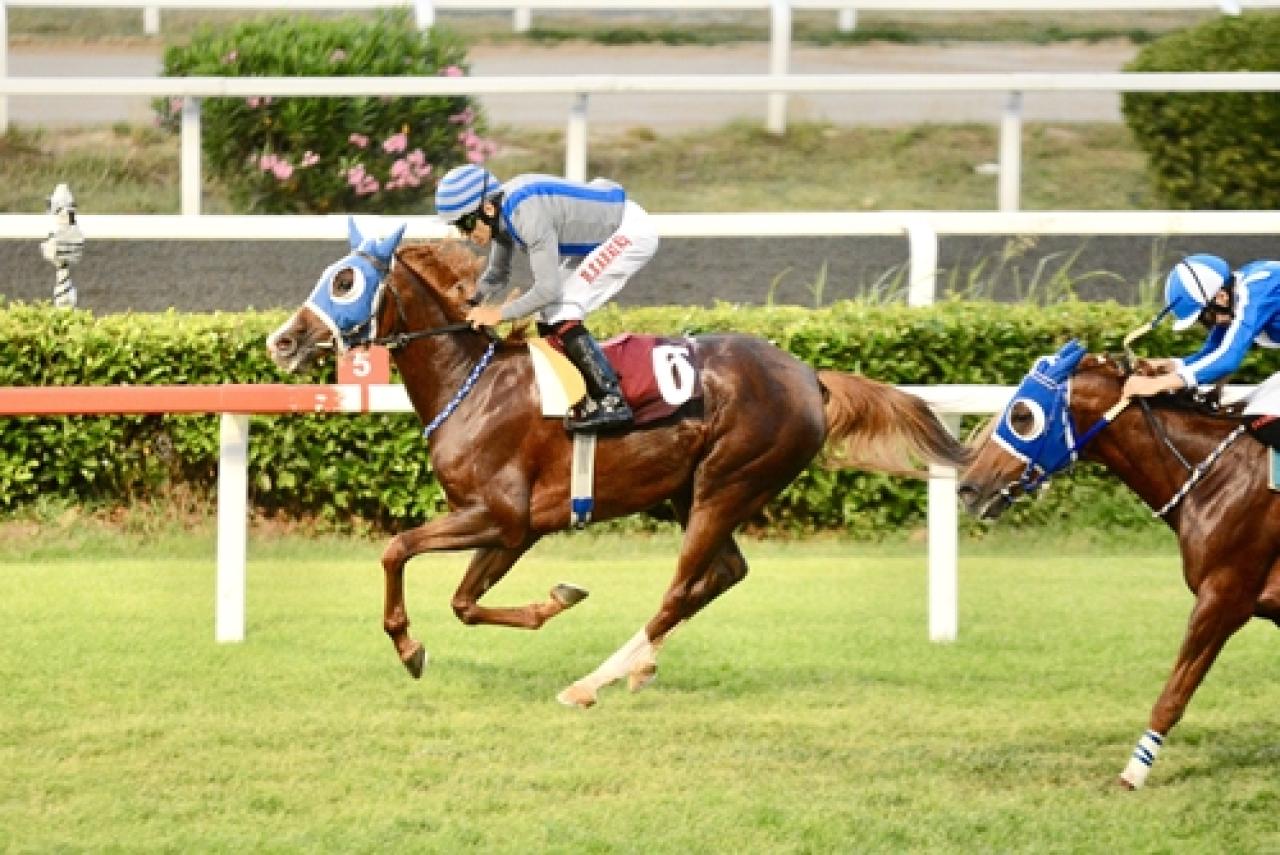 İhsan Atçı Koşusu'nu Topaz Girl kazandı