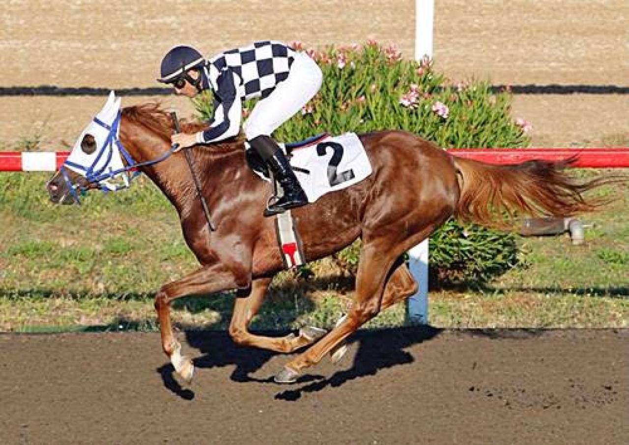 Eski başkanlarımızdan Prof. Dr. Kazım Köylü’yü saygıyla anıyoruz