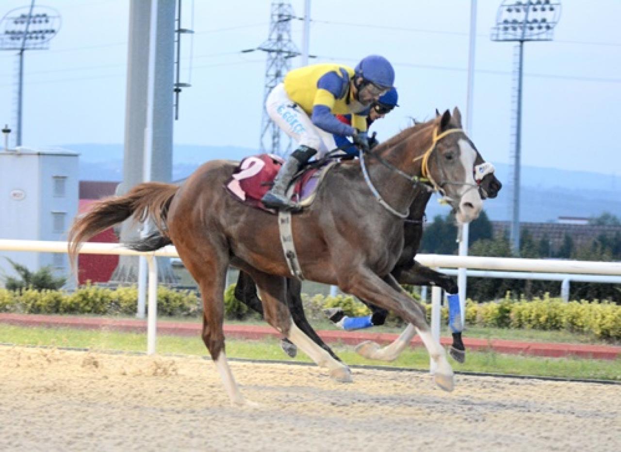 Babür Carioğlu Koşusu’nu Speed Hanner kazandı