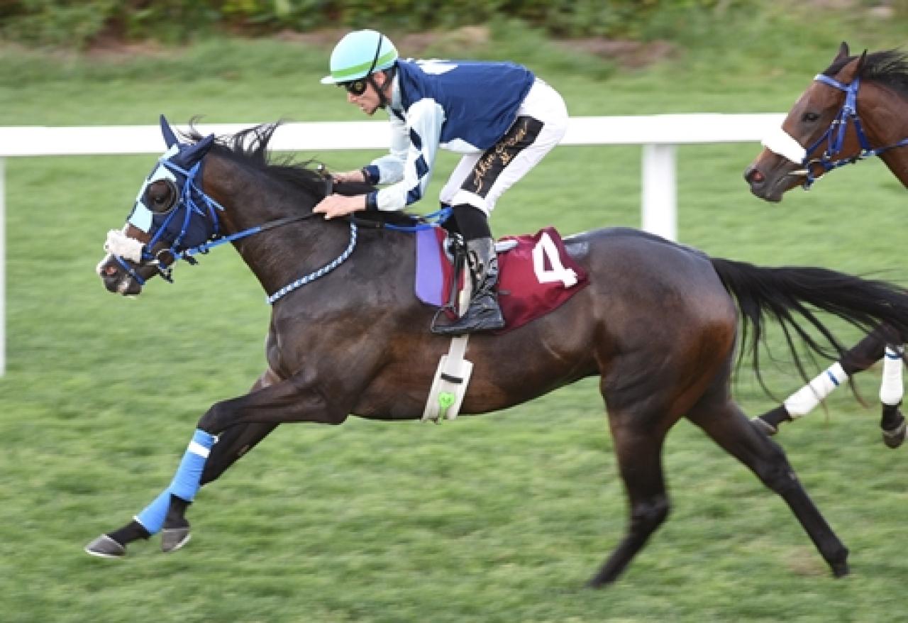 Asli Üyelerimiz Atilla Özsoy ve Prof. Dr. Mecdi Ramazanoğlu'nu saygıyla anıyoruz