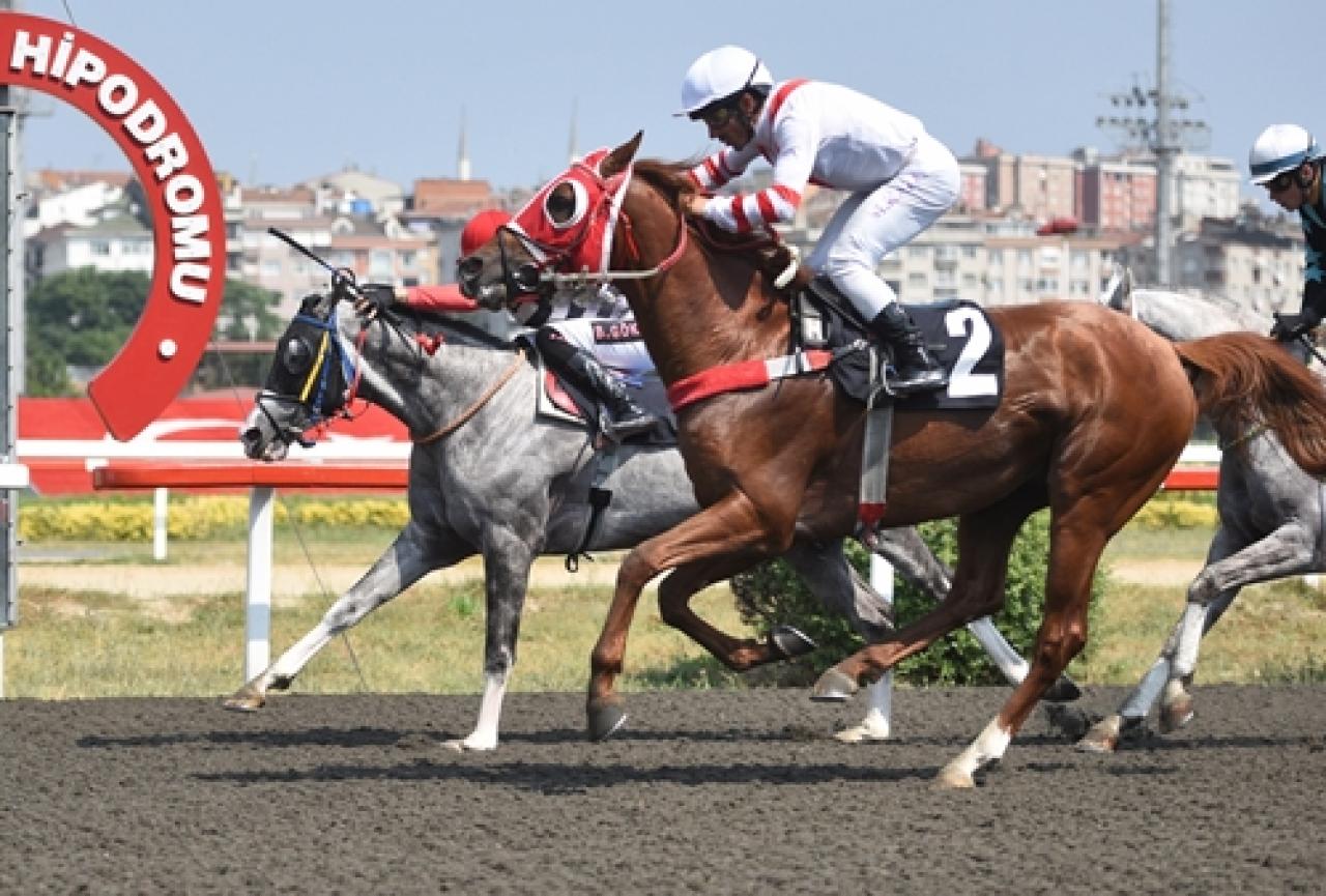 Pertevniyal Koşusu’nda galibiyet Vizigot’un oldu