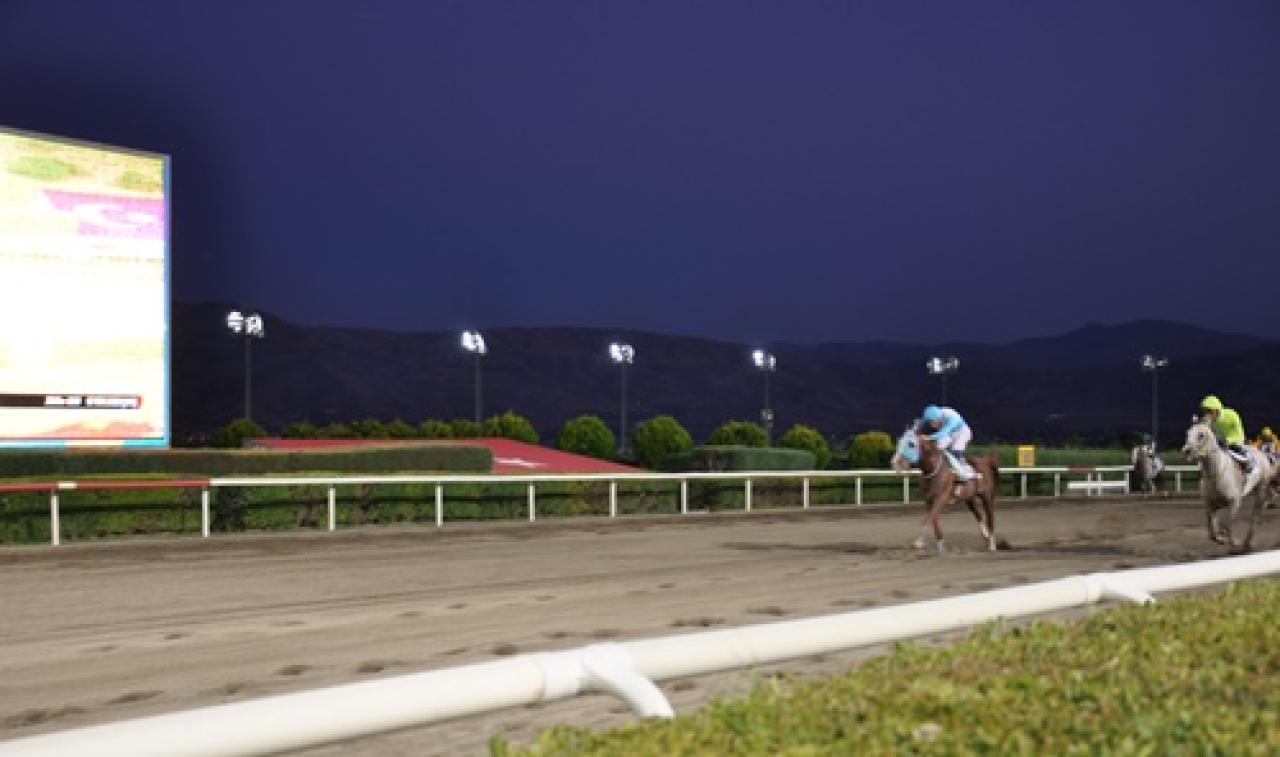 Elazığ Vali Koşusu’nu Sararhan kazandı