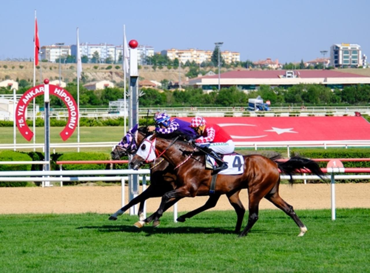 Karacabey Tarım İşletmesi Koşusu'nu Zincir Koparan kazandı
