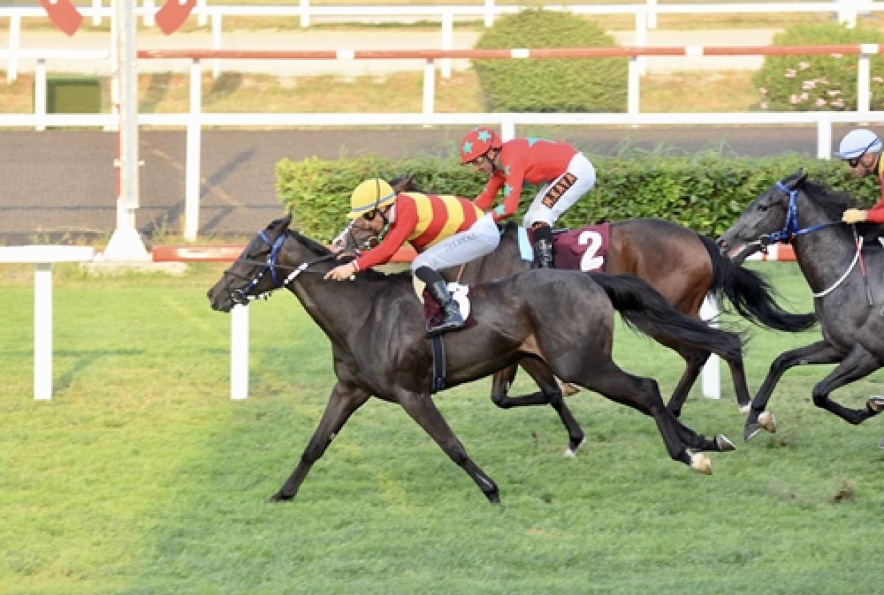 Prof. Dr. Mecdi Ramazanoğlu Koşusu’nu Cansucan kazandı